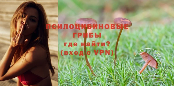 мяу мяу мука Абинск