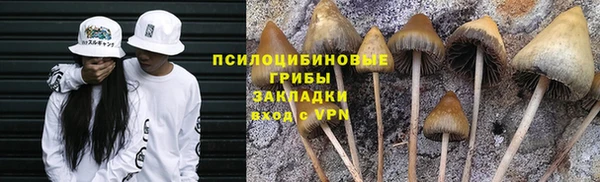 сатива Алексеевка