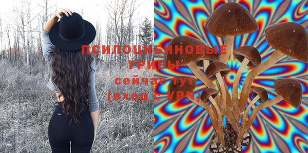 мяу мяу мука Абинск
