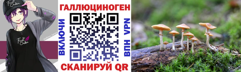 МЕГА маркетплейс  Избербаш  Галлюциногенные грибы MAGIC MUSHROOMS 